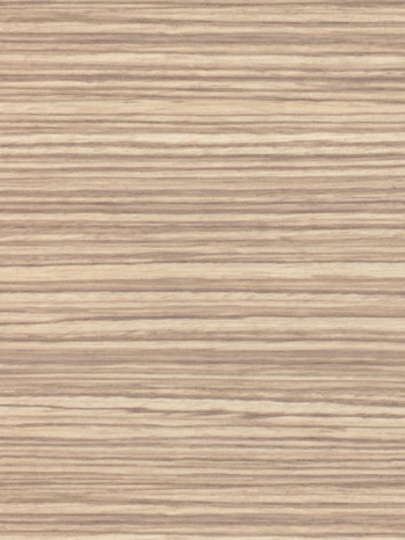 Açık Zebran Sunfloor Laminat Parke 